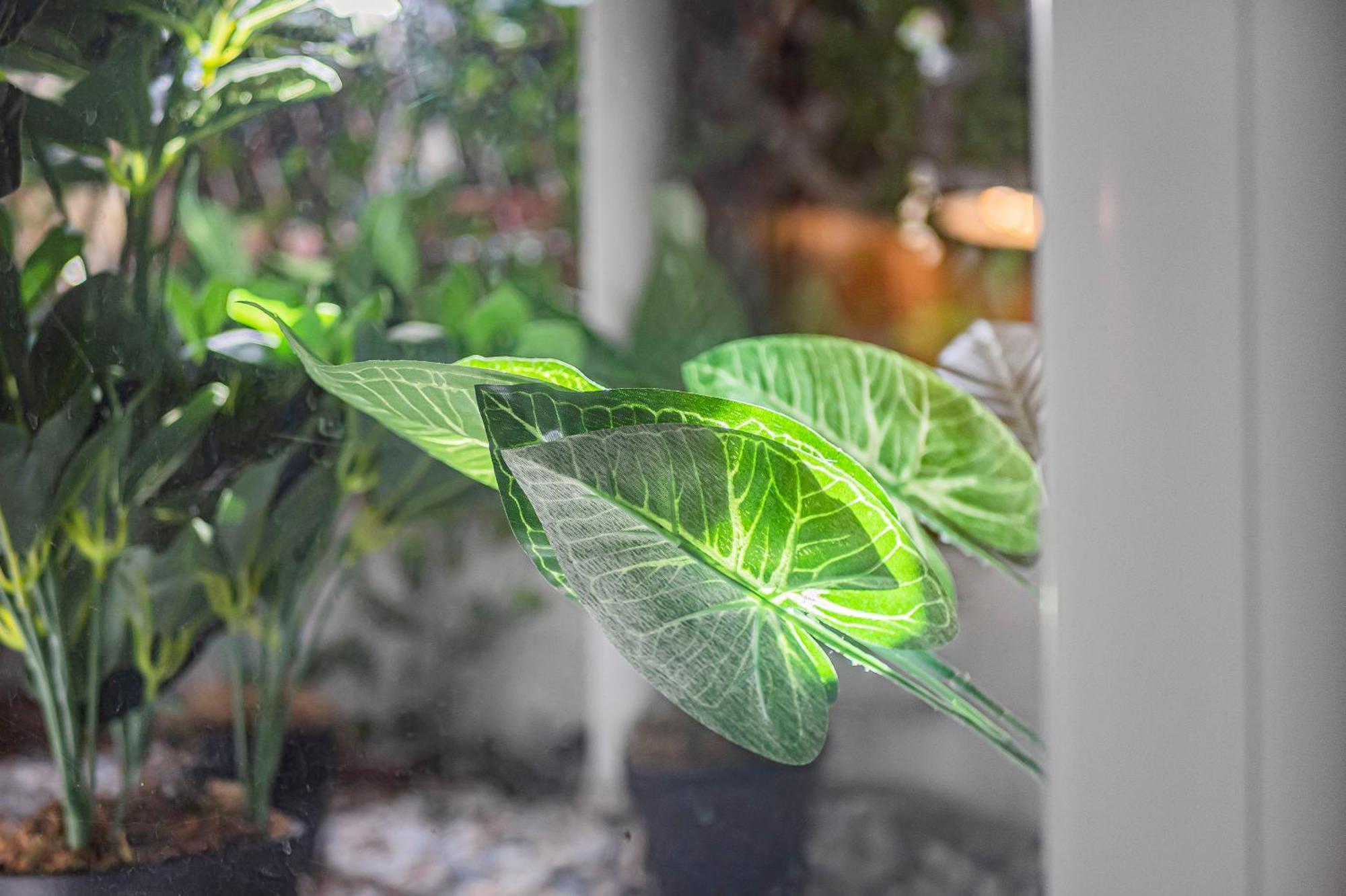 Pass The Keys Private Garden Apartment By Tulse Hill Station ลอนดอน ภายนอก รูปภาพ